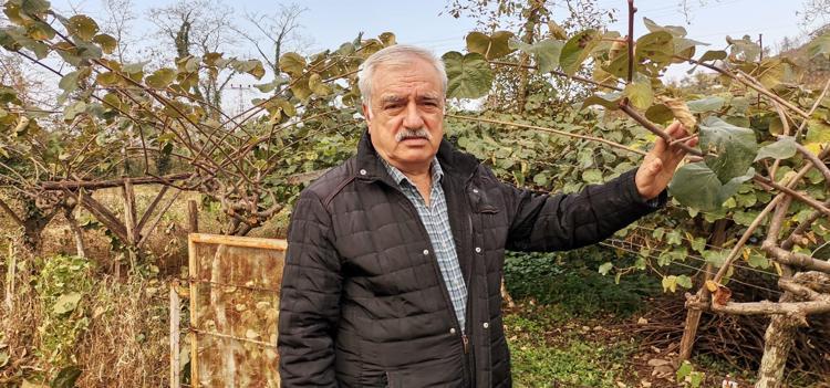 ‘SOĞUK HAVA DEPOLARINA GÖNDERDİK’