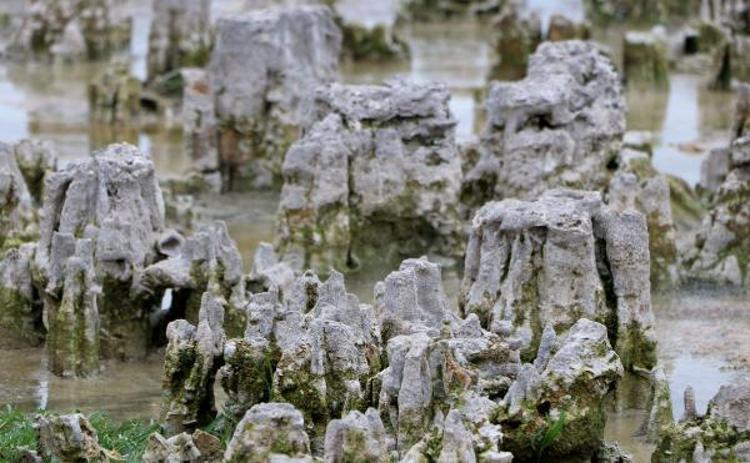 NORMALDE GÖRMEK MÜMKÜN DEĞİL