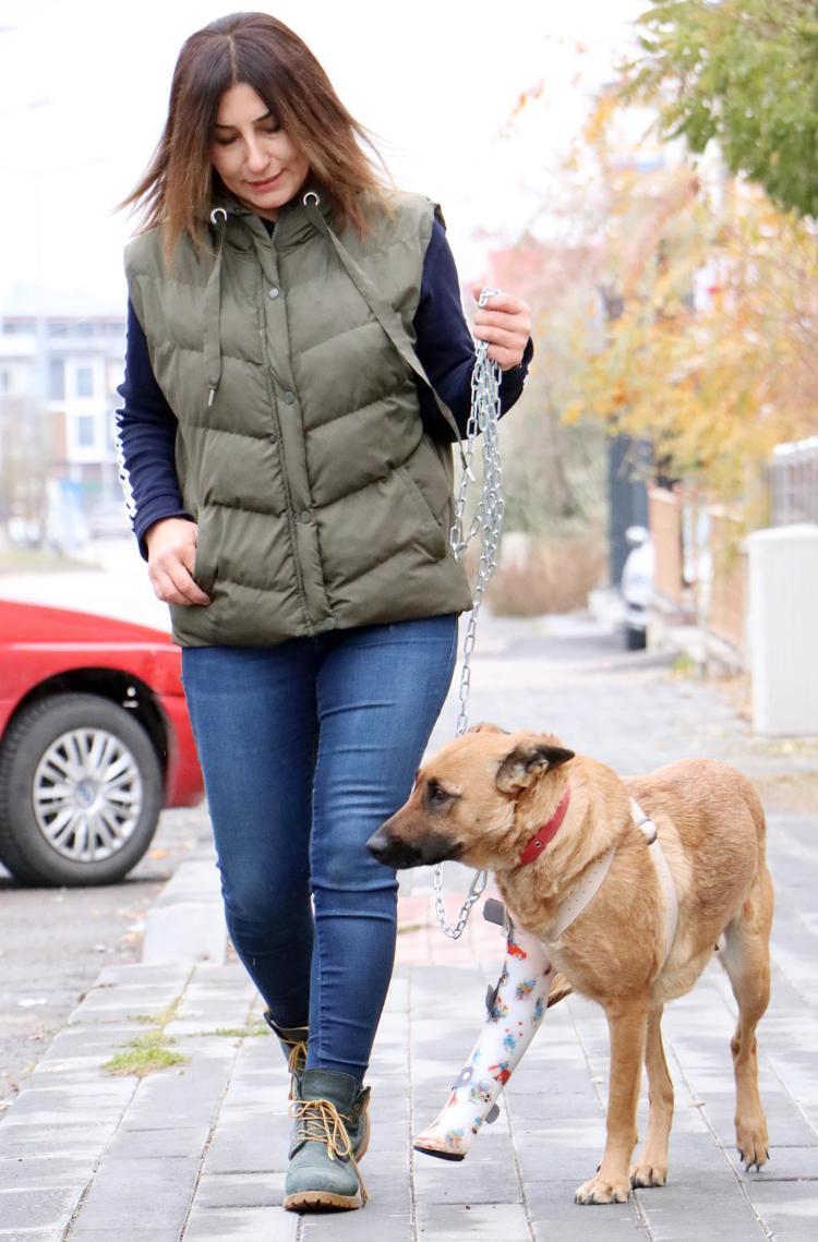 BİR UMUT, ALIP GETİRDİM