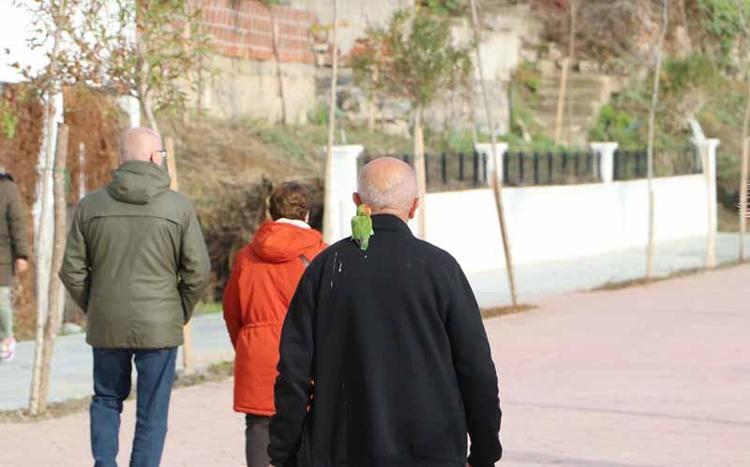 HAYAT ARKADAŞIM BENİM