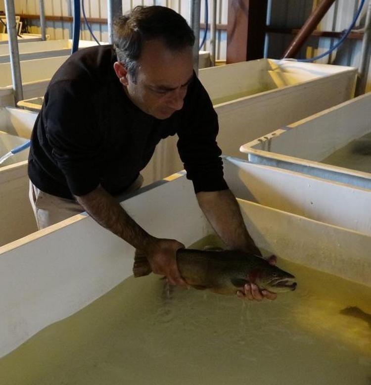 YENİ BİR İŞ ALANI OLUŞTU