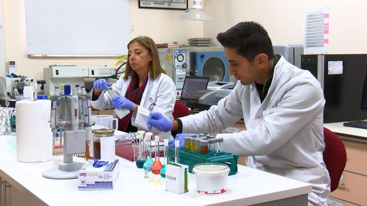 RAPORLARIMIZ TÜM DÜNYADA GEÇERLİ