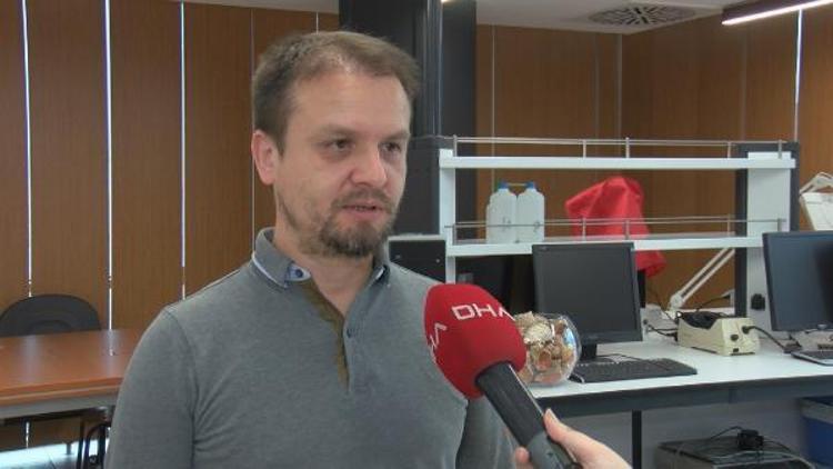 DENİZ SALYANGOZLARININ YAŞ VE BOYLARINDA KÜÇÜLME DE GÖZLEMLENDİ