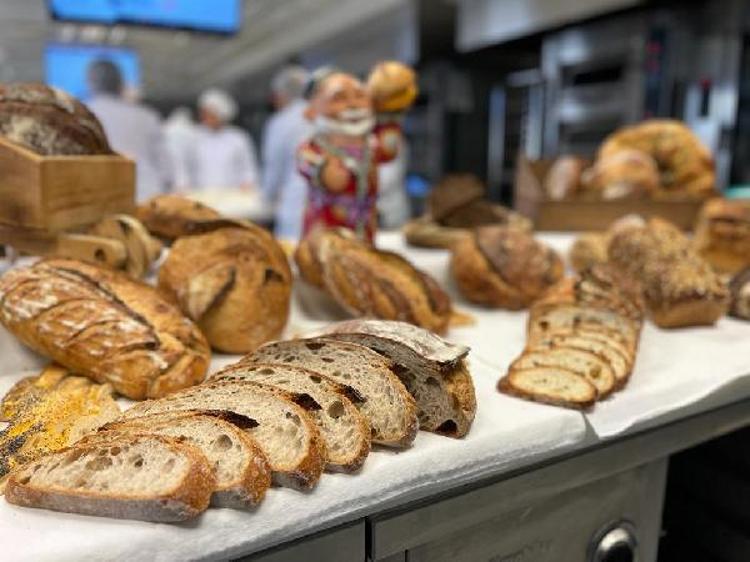 EKŞİ MAYA BANKASI OLUŞTURMAK ÖNEMLİ BİR HEDEFTİ