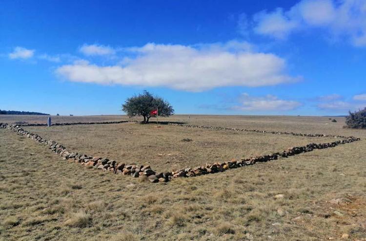 2021DE 213 DEFİN DAHA BULUNDU