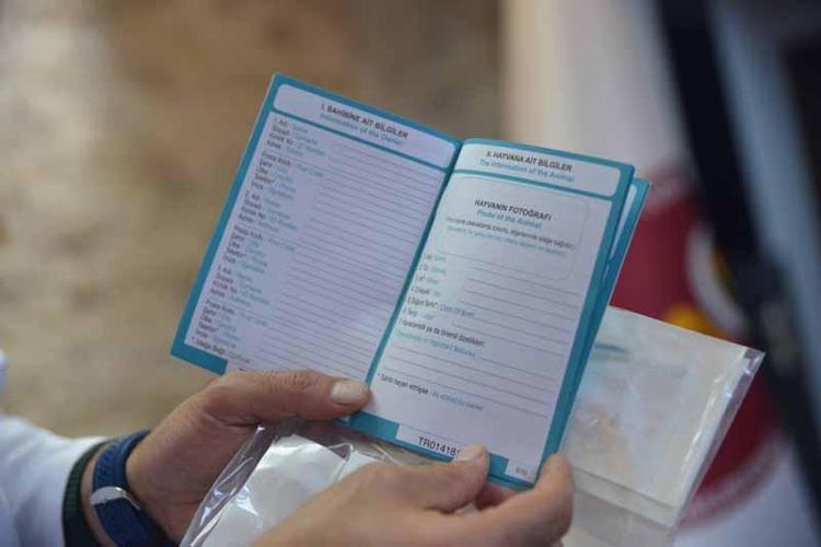 ELİMİZDE PASAPORT YOK