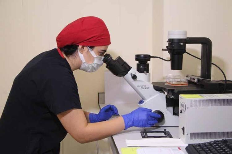 YENİ İLAÇLAR MODEL DOKULARDA DENENİYOR, ÇALIŞMAYA HIZ KATIYOR