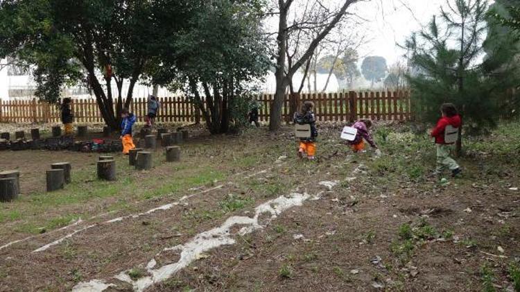 MATEMATİĞİ ÖRÜMCEKLERİN BACAKLARIYLA ÖĞRENİYORLAR