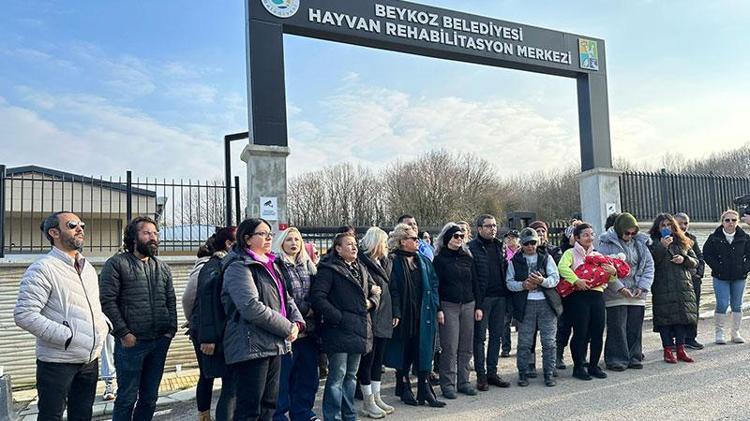 BU FOTOĞRAFLAR HEPİMİZİ ÇOK ÜZDÜ