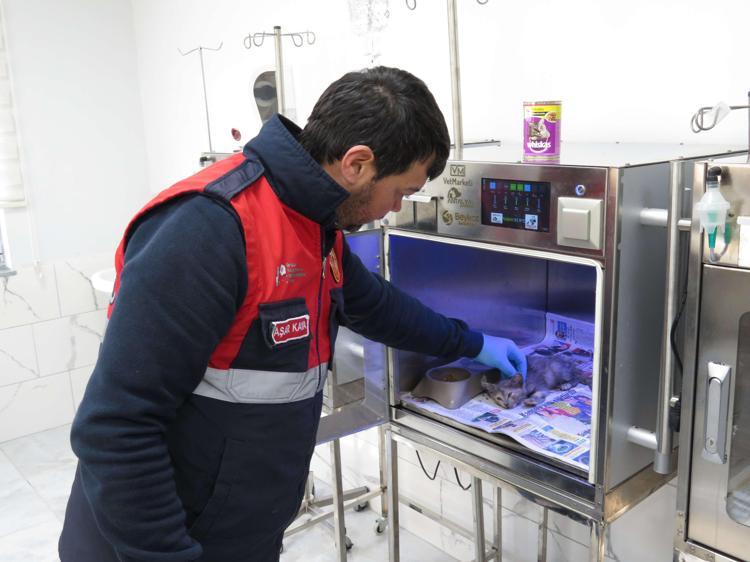 MERKEZİMİZDE ÖLDÜRME, İŞKENCE KESİNLİKLE OLMAMIŞTIR