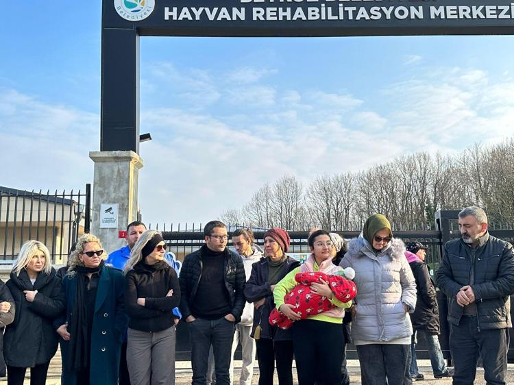 HAYVANLARIMIZI BİZ SOKAKLARDAN TOPLUYORUZ