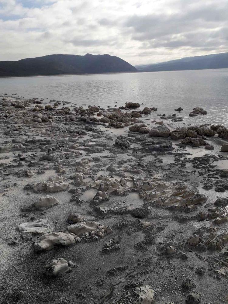 AYAK BASMAK BİLE YASAK