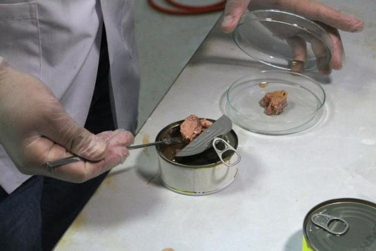 HORMON BOZUCU VE KANSEROJEN ETKİ YAPIYOR