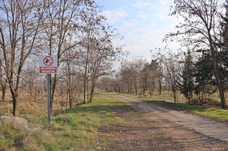 ‘ÇOK SAYIDA YAVRU VE YUMURTANIN TELEF OLMASINA NEDEN OLUYOR’