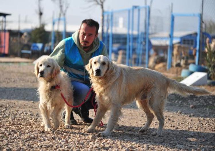 ‘EVLERDE YAŞAYAN DOSTLAR TERK EDİLİYOR’