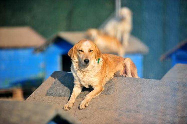 ‘SÜRENİN UZATILMASI GEREKTİĞİNİ DÜŞÜNÜYORUZ’