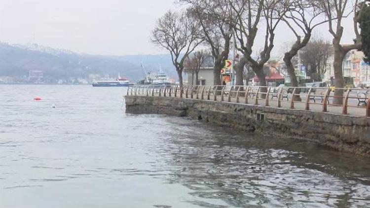 BALIĞI ÜREME YÖNÜNDEN ETKİLİYOR