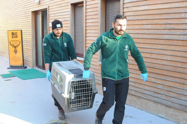 ORMANYA, ENGELLİ KUŞLARIMIZA İKİNCİ BİR YUVA OLUYOR