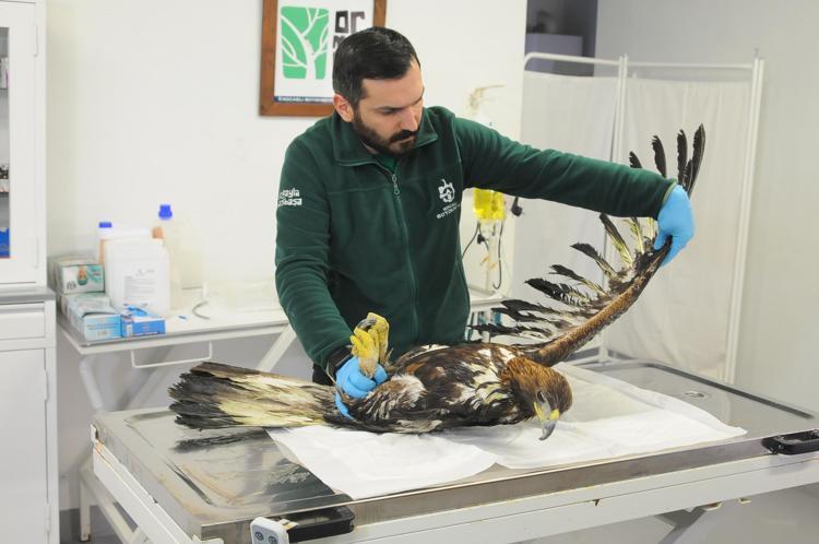 KENDİ TÜRLERİNE UYGUN BİR ALANA ALDIK