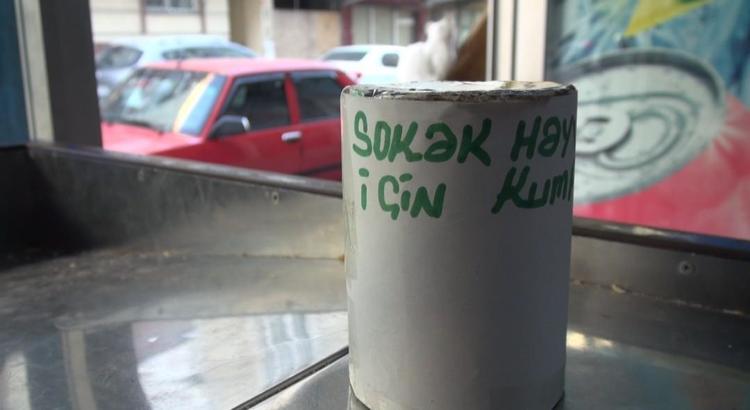 ŞİKAYETÇİ OLMADI