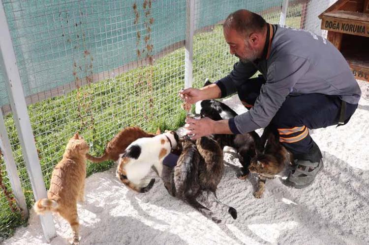 BÜYÜYÜNCE SOKAĞA TERK EDİLİYOR