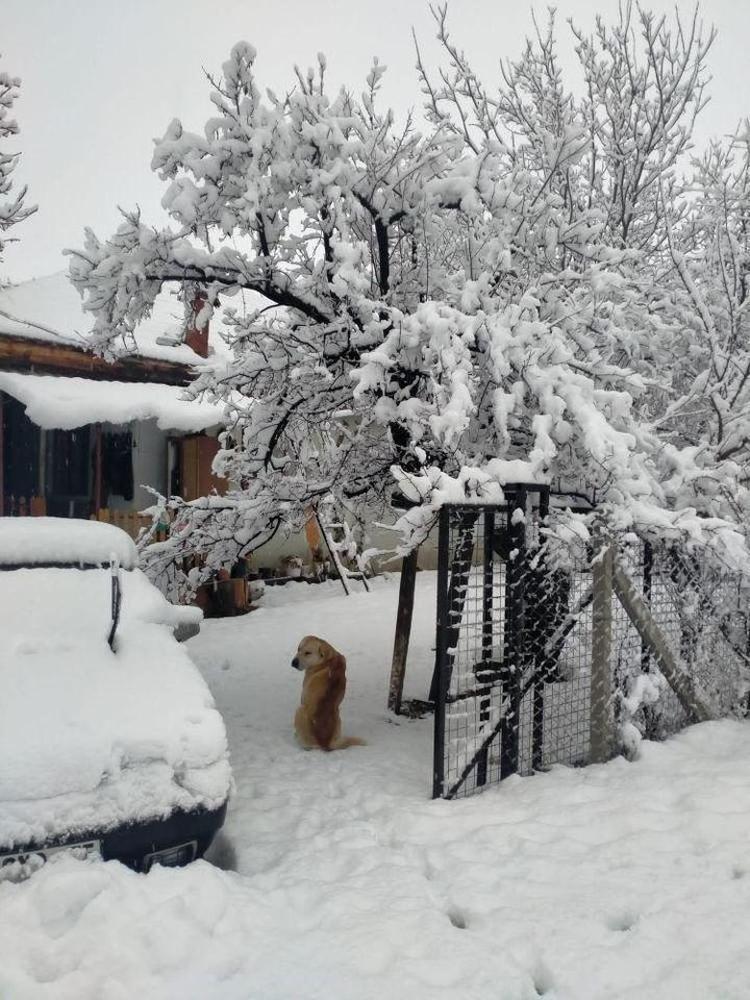 KUMLUCANIN YAYLA BÖLGESİNDE KAR