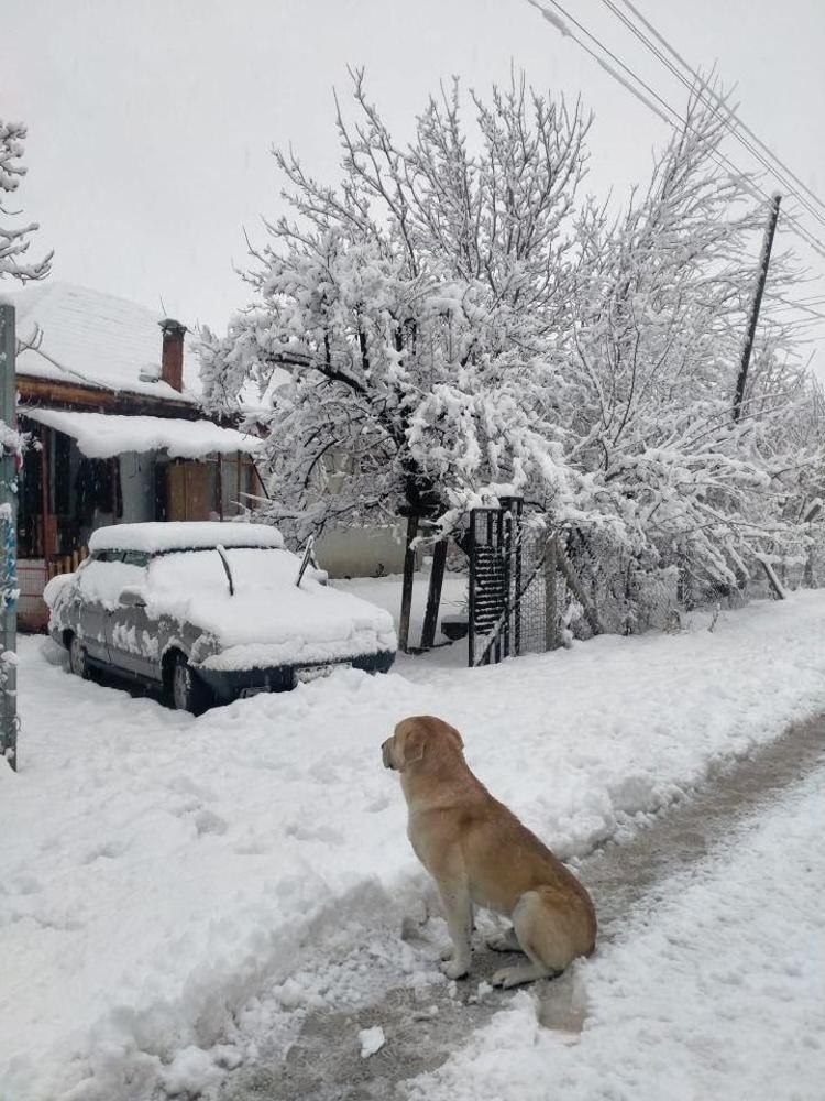 4 UÇAK GERİ DÖNDÜ