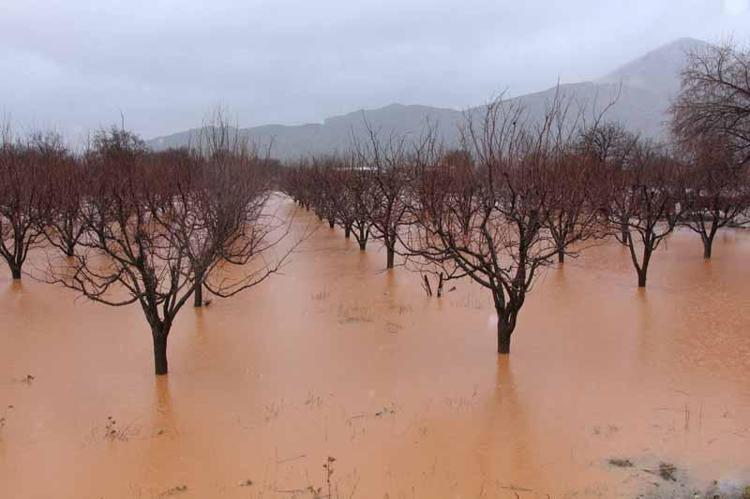 TARLA SAHİPLERİNDEN FERAGAT İSTENİYOR