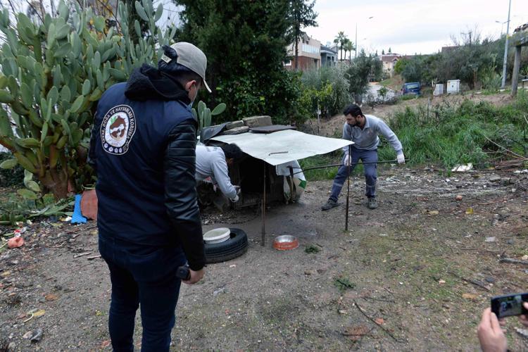 ŞİDDET MAĞDURU 45 KÖPEK SAHİPLENDİRİLDİ