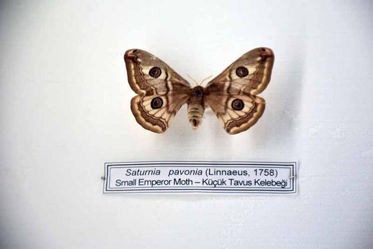 HERKESE GELMELERİNİ ÖNERİYORUM