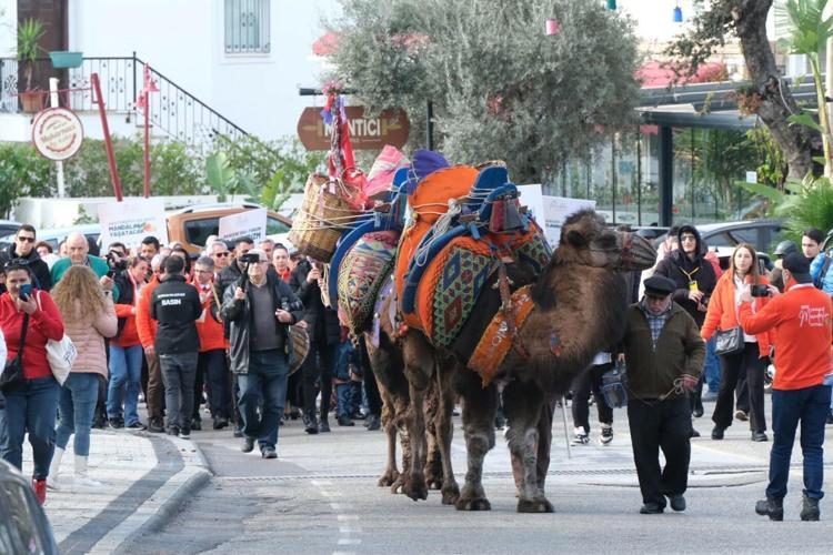 MANDALİNALI YEMEKLER YAPILDI