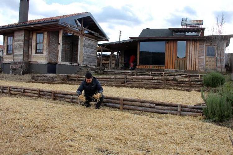 TÜRKİYEYE DAĞITILACAK