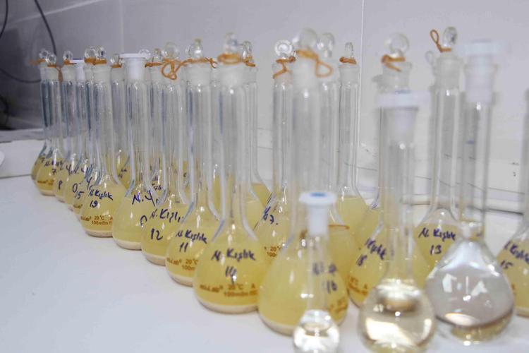 2022 YILINDA 2 BİN 500 ANALİZ ALDIK