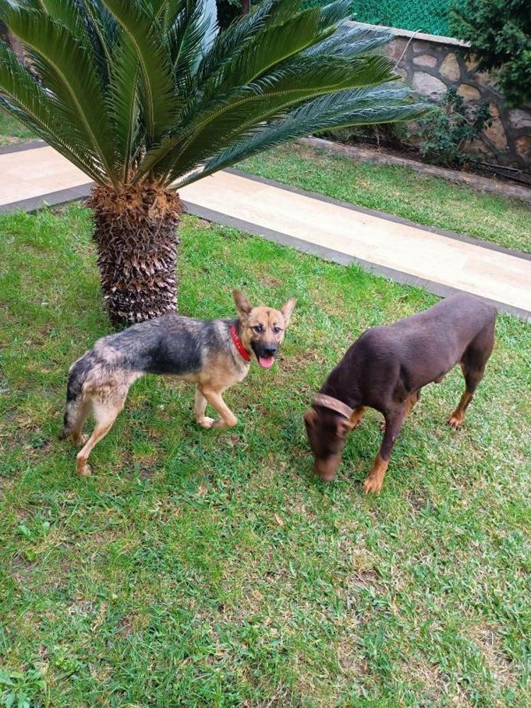 ÖZEL DÜZENEK YAPILDI