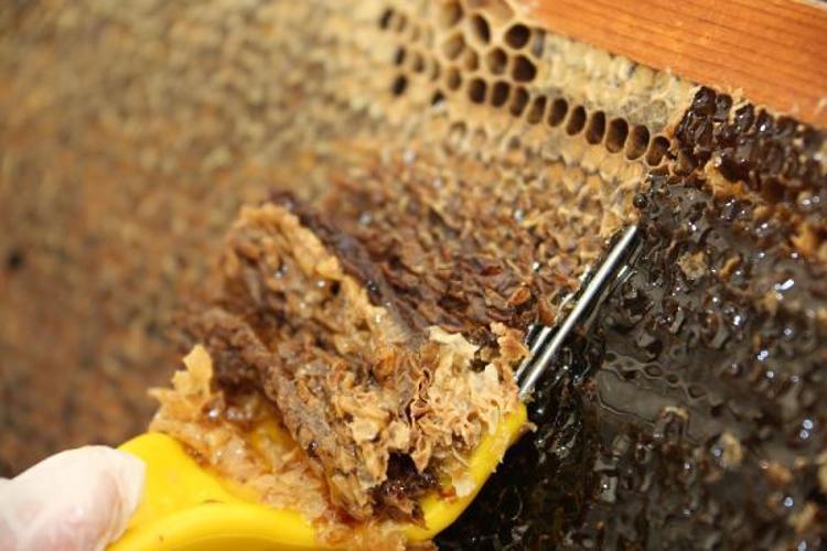 ‘BU ARAŞTIRMA BİZİM İÇİN MİLLİ MESELE’