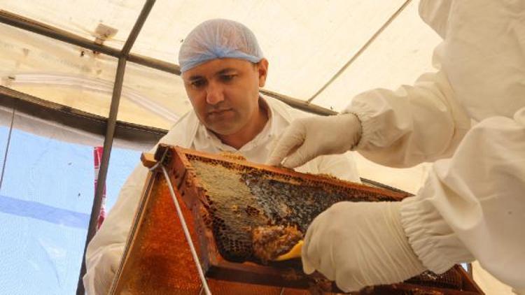 PROF. DR. TURHAN: TA BALIN DOĞALLIĞINI GÖSTERİR