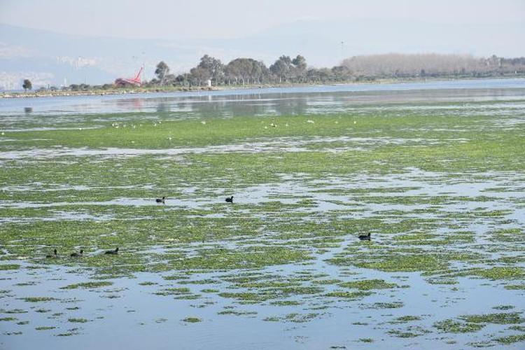 SADECE İKLİMLERİ SUÇLAMAMALIYIZ