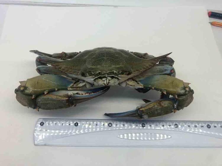 ETKİSİNİ TAKİPTEYİZ