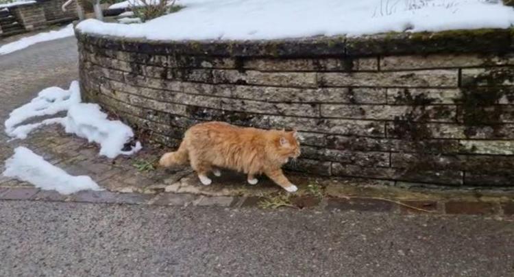 KAVUŞTUĞUMDA ÇOK MUTLU OLDUM