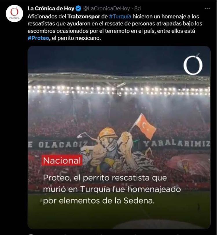 BU KOREOGRAFİYİ  DERİNİN ALTINA İŞLİYOR