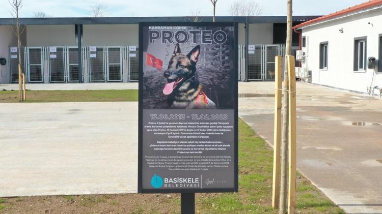 PROTEONUN FOTOĞRAFI İLE TÜRKÇE VE İSPANYOLCA TANITIM YAZISI ASILDI