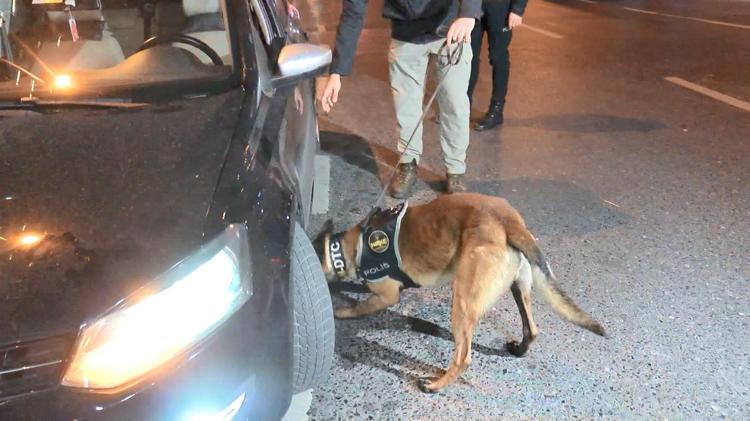 NARKOTİK KÖPEĞİ ARAÇLARI ARADI
