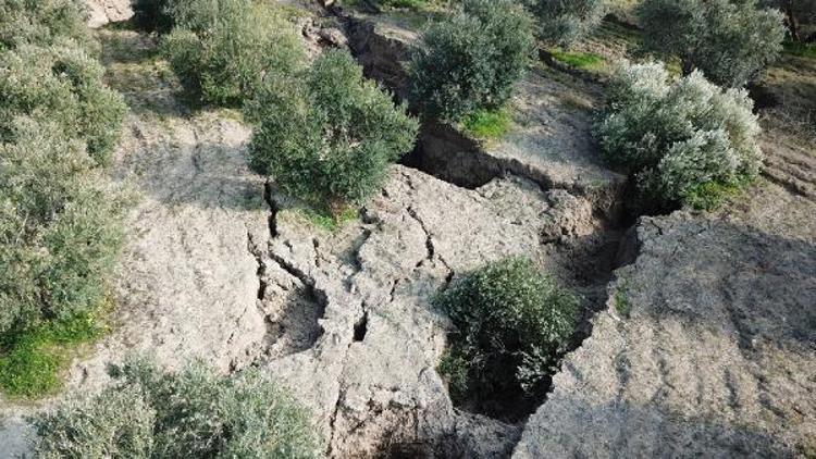 TARLAMIZ ELİMİZDEN GİTTİ