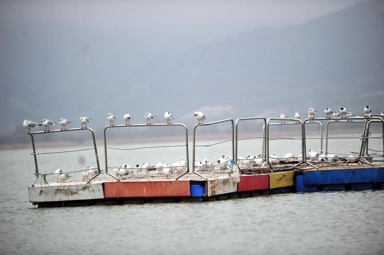 DENGENİN BOZULDUĞUNU ANLIYORUZ