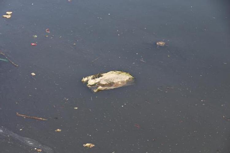 TEMİZLİK VE KONTROL VURGUSU