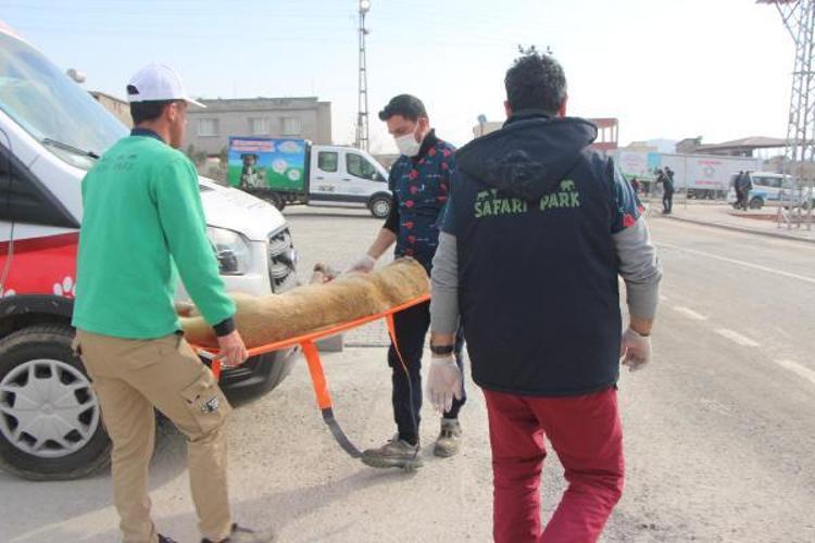 ‘TÜM EKİPMANLARIMIZI SAHRA HASTANESİNE GETİRDİK’