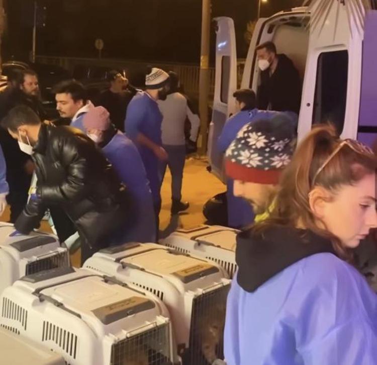 UZUN SÜRE ENKAZDA KALMIŞTI. HEM KUYRUĞU KIRILMIŞTI HEM DE KALÇASI.