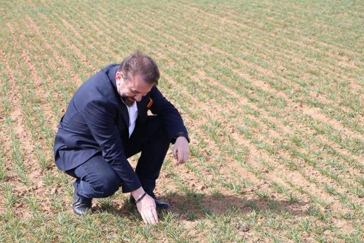 VERİMLİLİK 450DEN 350 KİLOYA DÜŞEBİLİR