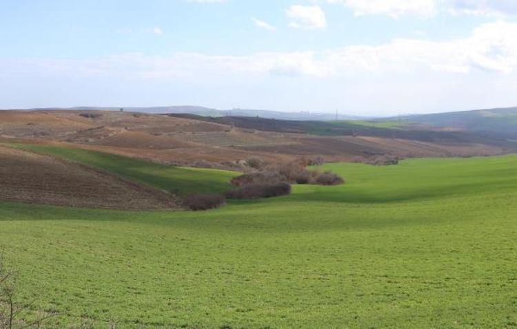 DÜNYADAKİ GIDA STOKLARI ERİMEYE BAŞLADI