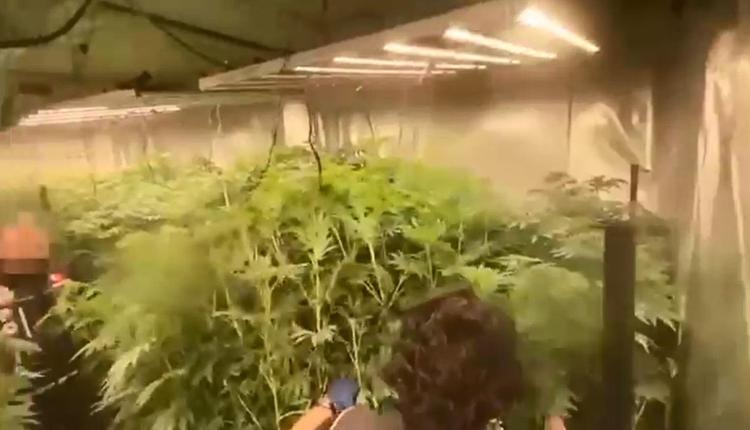 “HİÇ SATIŞ YAPAMADIM